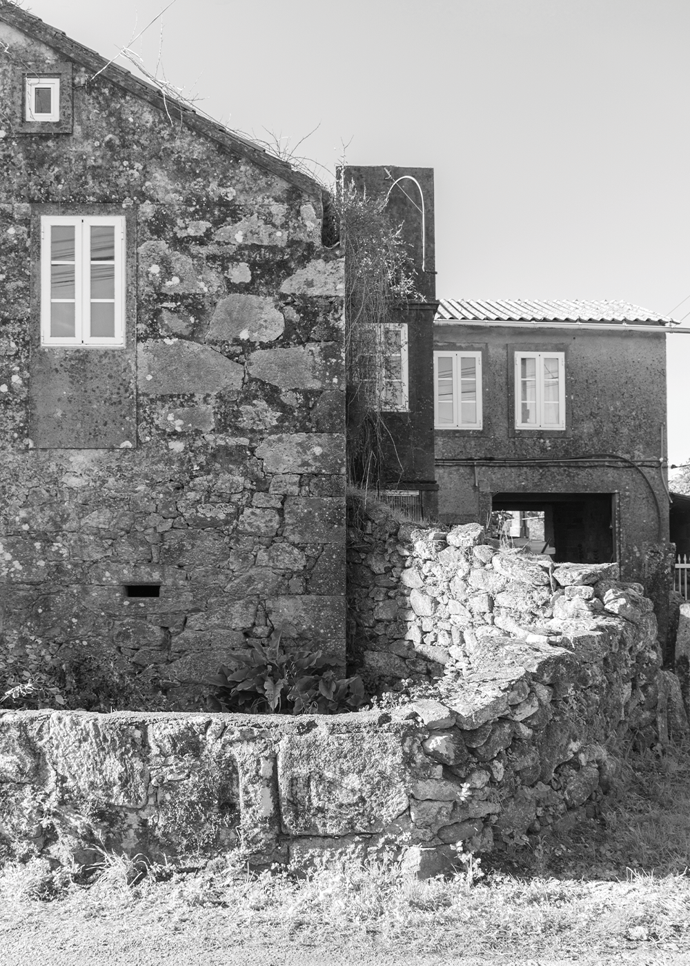 Suevos